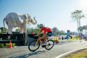 BIB: 
                            <button type="button" onclick="openModal(26183007)" class="btn btn-primary btn-sm float-right btn-popup" data-toggle="modal" data-target=".modal-high-quality">
                        <i class="fas fa-shopping-cart"></i> Add to Cart
                    </button>
                                            <button type="button" onclick="isThisMe(26183007, true)" class="btn btn-success btn-sm float-right btn-popup btn-isme hidden" data-toggle="tooltip" data-placement="bottom" title="นี่คือรูปของคุณใช่ไหม คลิกที่นี่เพื่อเอาเข้าอัลบั้ม">
                        <i class="fas fa-plus"></i> Add to album
                    </button>
                    <button type="button" onclick="isThisMe(26183007, false)" class="btn btn-warning btn-sm float-right btn-popup btn-isnotme hidden">
                        <i class="fas fa-ban"></i> Remove from album
                    </button>